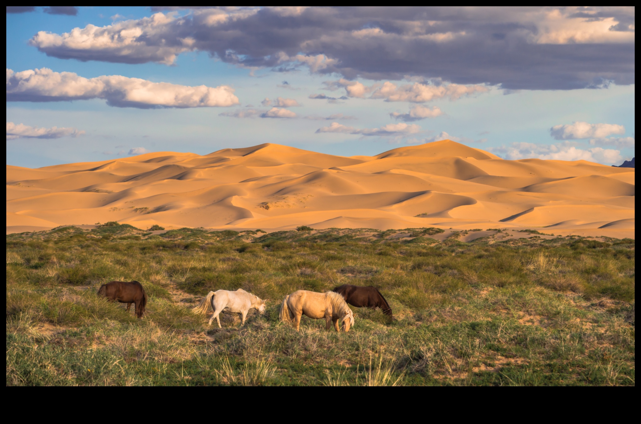 Desert Dreams: Tehnici pentru capturarea frumuseții vaste și enigmatice a ținuturilor aride