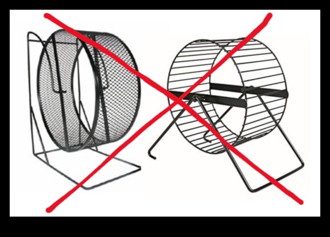 Roata distracției: Alegerea celei mai bune roți de exerciții pentru hamsterul tău